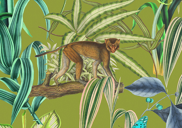 Barbados, Avocado - Roman Blind - Image 7